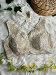 Off White Colour Designer Partywear Net Blouse