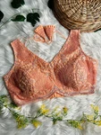 Peach Colour Designer Partywear Net Blouse