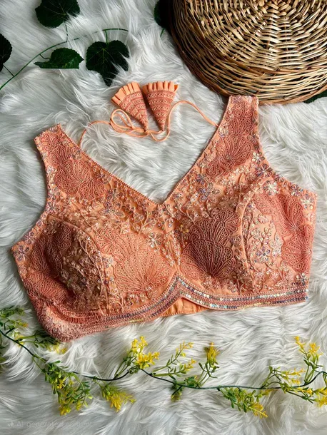 Peach Colour Designer Partywear Net Blouse